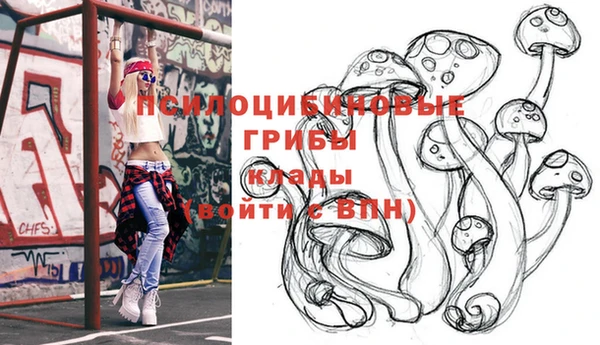 крисы Вязьма