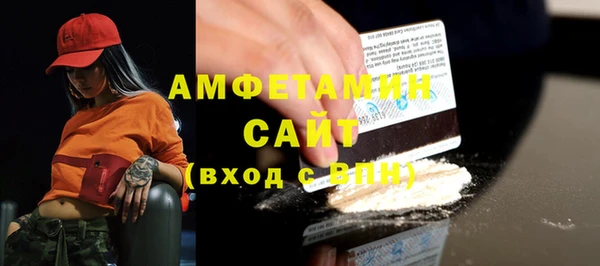 индика Лабытнанги