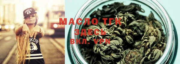 индика Лабытнанги