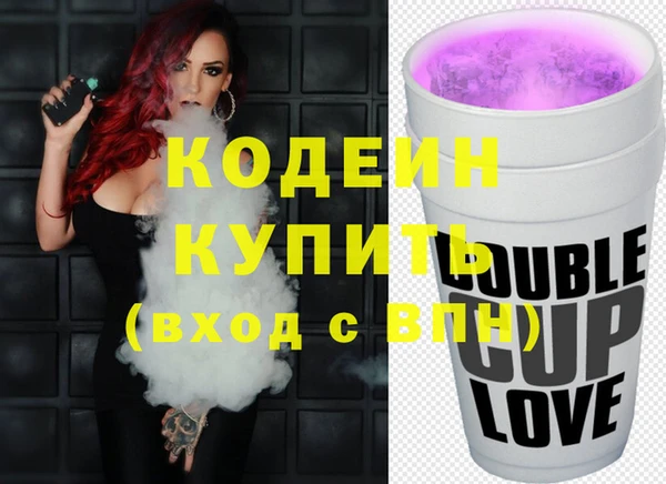 индика Лабытнанги