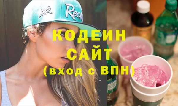 индика Лабытнанги