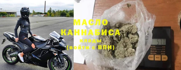 индика Лабытнанги